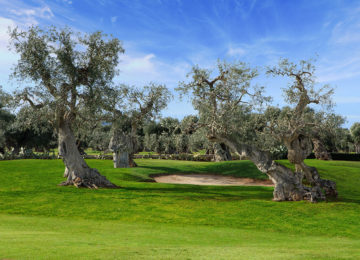 104713415_RFH_Masseria_Torre_Maizza_0727
