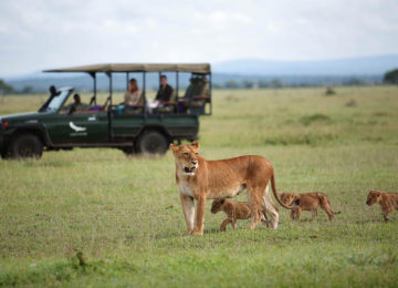 Serengeti Löwen Luxus Safari Grumeti ©andBeyond