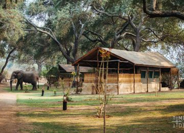 2 ©Time + Tide Chongwe Camp (14) – Adrian Steirn-Edit