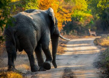 277515242_509169383907147_4453909240353594481_n