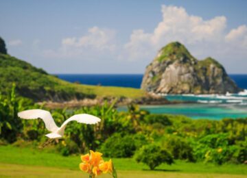 2_fernando-de-noronha