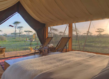 Serengeti Guest Room
