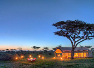 Serengeti-Guest-Room4.jpg