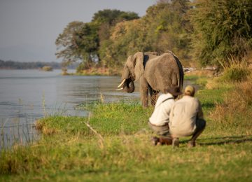 Great Zimbabwe luxury-Luxusreise