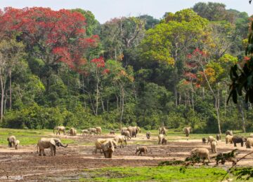 6-5 20012019-IMG_7302© Nuria Ortega Copy