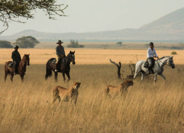 6 Kenia_olDonyoLodge-Luxus Safari-Pferdesafari©GreatPlainsConservation