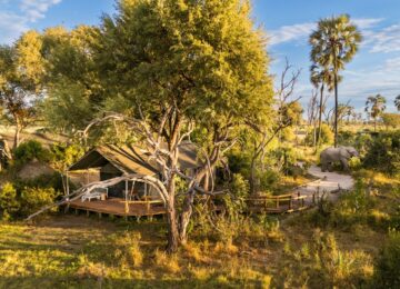 @machabasafaris_botswana-gomoti-camp-overview