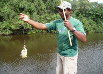 Araras-Pantanal-EcoLodge-Piranha-Fishing-2-1024×768