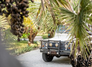 Azura Benguerra - Dune Drive-4