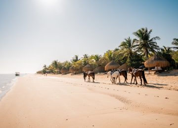 Azura Benguerra - Horse Riding-1