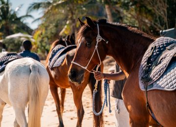 Azura Benguerra - Horse Riding-2