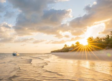 Azura Benguerra - Main Area-7