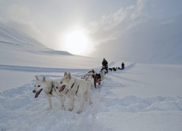 Basecamp-Spitsbergen-Dog-Sledging-Winter-121