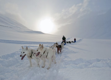 Luxusreise Norwegen Basecamp Spitsbergen Hundeschlitten Safari