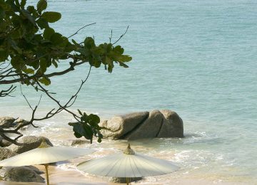 Beach Setting & Service