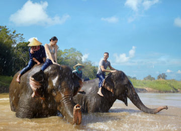 Elephant bath time fun © Anantara Golden Triangle Elephant Camp Resort