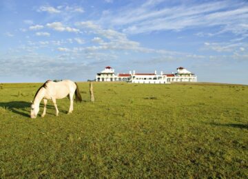 Estancia Vik, José Ignacio Uruguay (5)