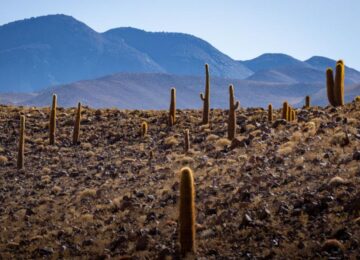 Explora San Pedro de Atacama (11)
