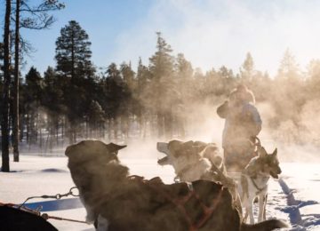 Finnland Huskyschlitten Javri Lodge