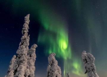 Europa – Best of Lappland im Winter, Norwegen & Finnland