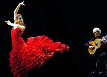 Flamenco © ids