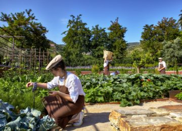 Details©Amerikalinjen ©Six Senses Douro Valley Portugal
