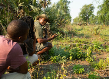 GG_2018_08B_STILL_5D_0104