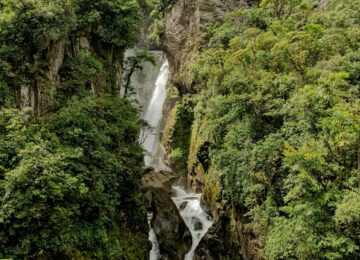 Galapagos Island (1)