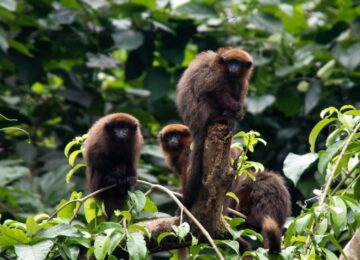 Galapagos Island (14)