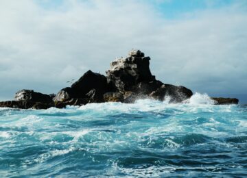 Galapagos Island (28)