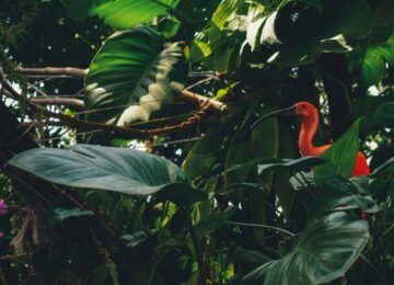 Galapagos Island (32)