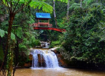 Cameron Highlands, Malaysia, Asien