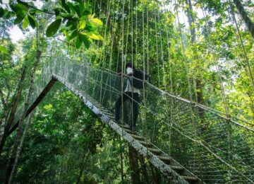 Mutiara Taman Negara Hotel, Aktivitäten, Malaysia, Asien