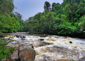 Mutiara Taman Negara Hotel, Aktivitäten, Malaysia, Asien