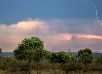 Sabi Sabi, Krüger Nationalpark
