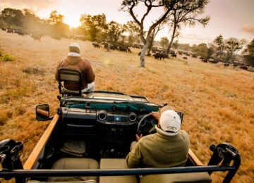 Sabi Sabi, Krüger Nationalpark