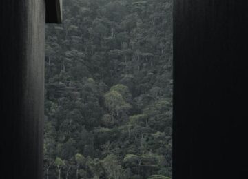 Silverback Lodge, Bwindi Impenetrable National Park, Uganda, Afrika