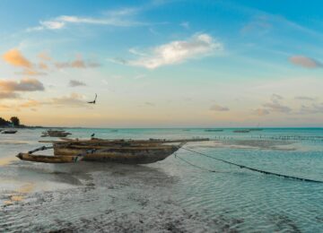 Sansibar, Tansania, Afrika