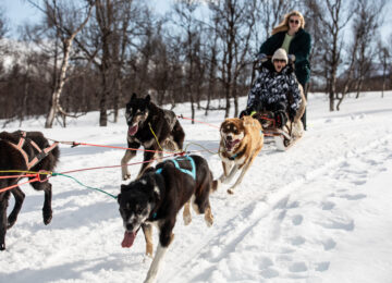 ISBREEN THE GLACIER_Dog sledding_Photo Credit Katie Farr Photography (2)