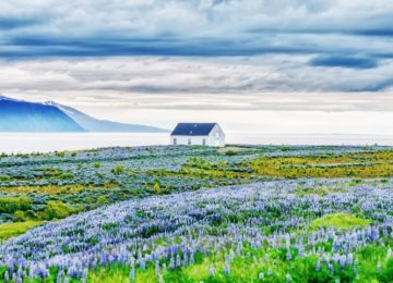 Island ©The Reykjavik EDITION
