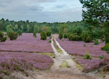 Kanada, North Hatley (2)