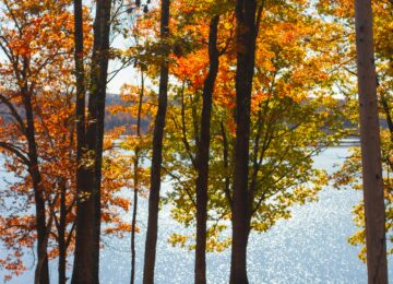 Kanada, North Hatley (9)