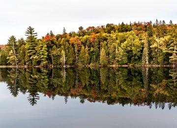Kanada Ontario Lake (3)