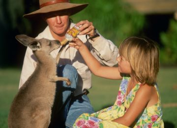 Australia Queensland©Feeding a Young Kangaroo