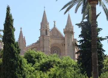 Kathedrale, Palme de Mallorca