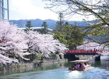 Kirschblüte Fluss ©The Ritz Carlton Kyoto