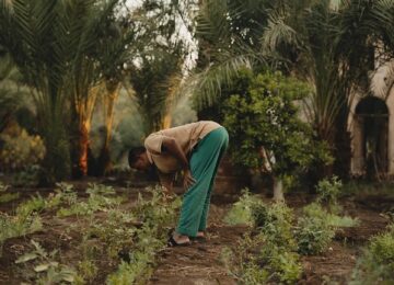 La Moudira Luxor Äqypten ( (5)