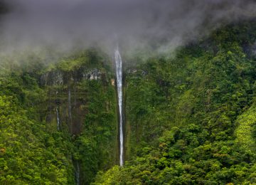 MAUI©-fourseason -hawaii