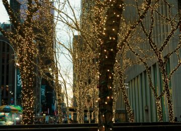 New York City, USA (11)