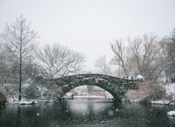 New York City, USA (26)